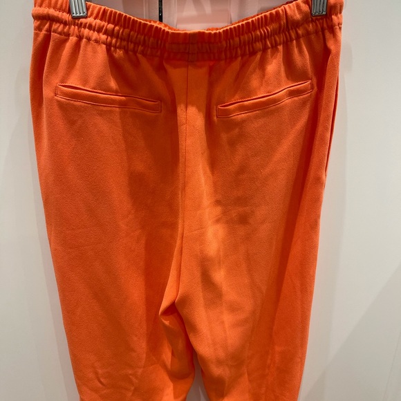 Coral pink Aritzia T.Babaton trousers - Picture 4 of 4